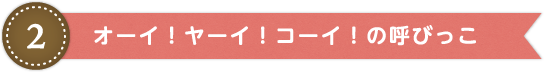 オーイ！ヤーイ！コーイ！の呼びっこ