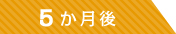 ５ヶ月