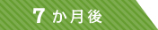 7ヶ月