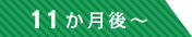 11ヶ月